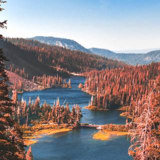 National Park phone wallpaper