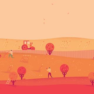 iPhone Google wallpaper