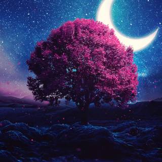 Half moon phone wallpaper