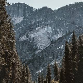 National Park phone wallpaper