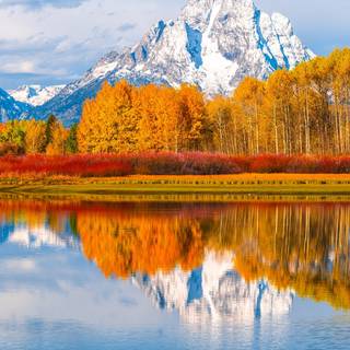 National Park phone wallpaper