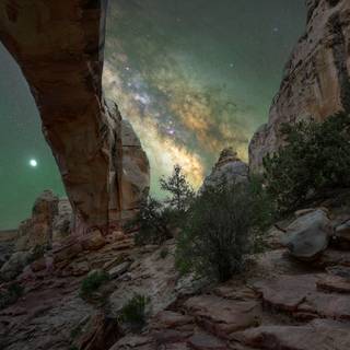 National Park phone wallpaper