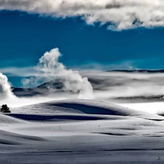 Yellowstone winter 4k wallpaper