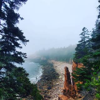 National Park phone wallpaper