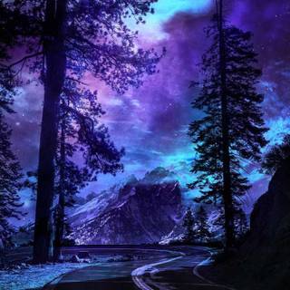 National Park phone wallpaper