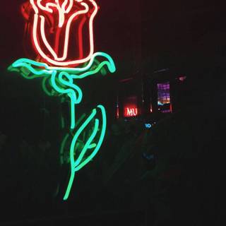 Neon sign phone wallpaper