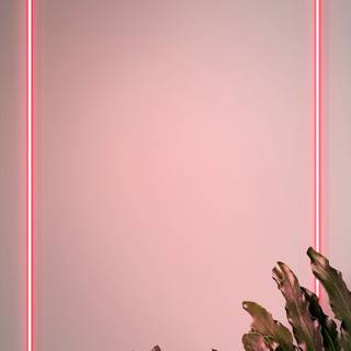 Neon sign phone wallpaper