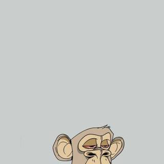 NFT monkeys wallpaper