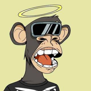 NFT monkeys wallpaper