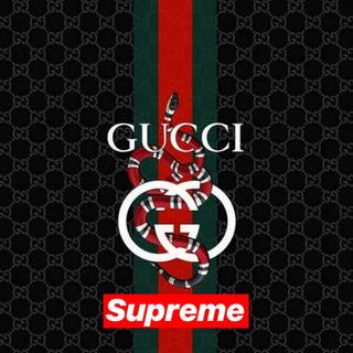 Gucci mobile wallpaper