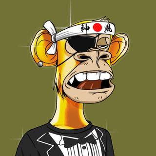 NFT monkeys wallpaper