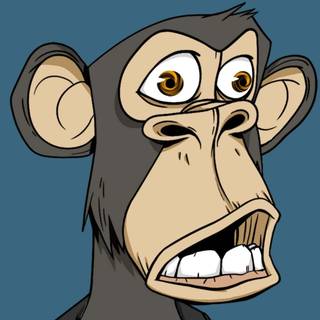 NFT monkeys wallpaper