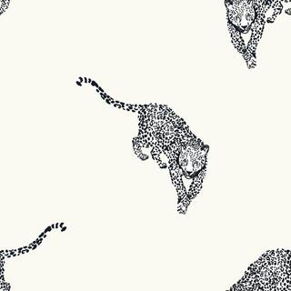 Black and white leopard wallpaper