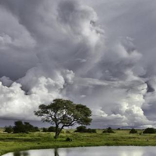 Monsoon season wallpaper