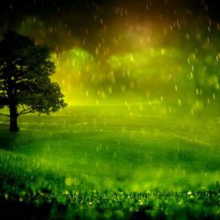 Monsoon season wallpaper