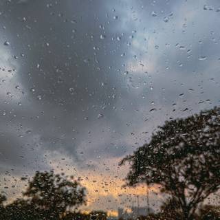 Monsoon season wallpaper