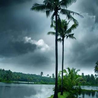 Monsoon season wallpaper