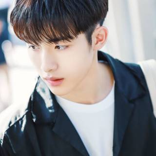 Winwin Wayv wallpaper