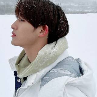 Winwin Wayv wallpaper