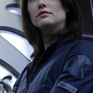 Agent Maria Hill wallpaper