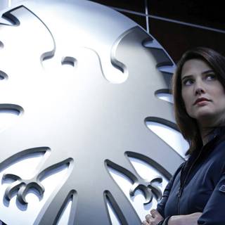 Agent Maria Hill wallpaper