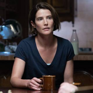 Agent Maria Hill wallpaper