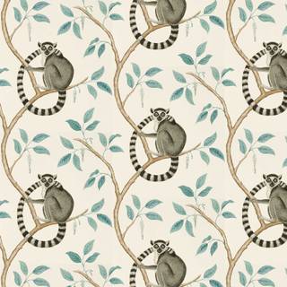 Ring tailed lemur wallpaper