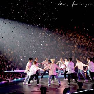 Seventeen concert wallpaper