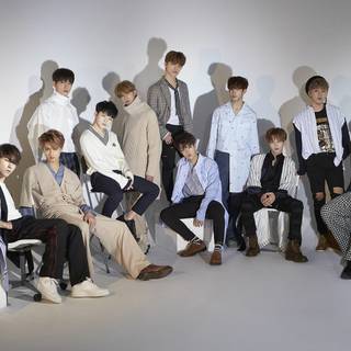 Seventeen concert wallpaper