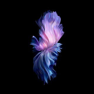 Vivo amoled wallpaper