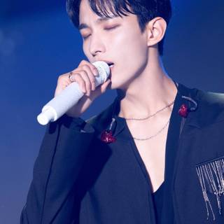 Seventeen concert wallpaper