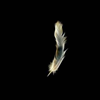 Vivo black wallpaper