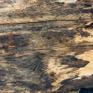 Old texture wallpaper