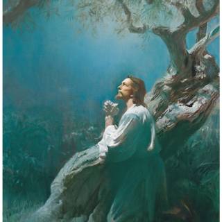 Gethsemane wallpaper