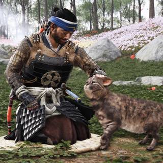 Ghost of Tsushima: Director's Cut wallpaper