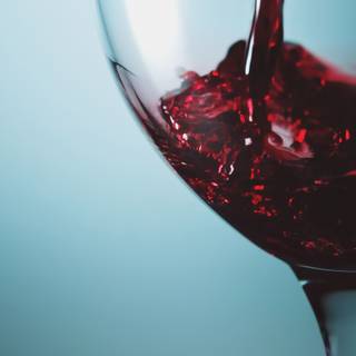 Glass of wine wallpaper