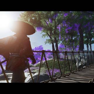 Ghost of Tsushima: Director's Cut wallpaper