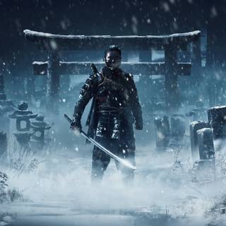 Ghost of Tsushima: Director's Cut wallpaper