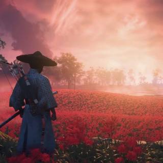 Ghost of Tsushima: Director's Cut wallpaper