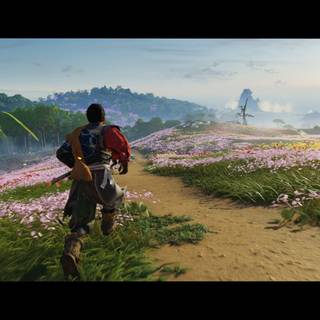 Ghost of Tsushima: Director's Cut wallpaper