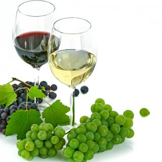 Glass of wine wallpaper