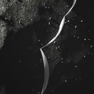 Premium 4k wallpaper