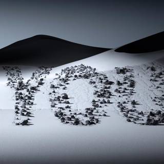 Premium 4k wallpaper