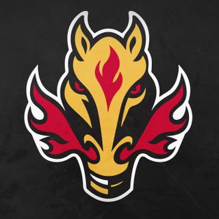 Calgary 4k wallpaper