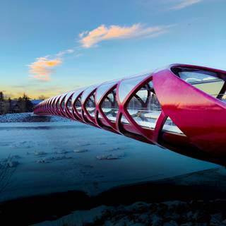 Calgary 4k wallpaper