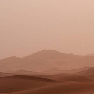 iPhone 4k beige wallpaper