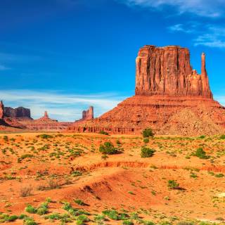 American desert wallpaper