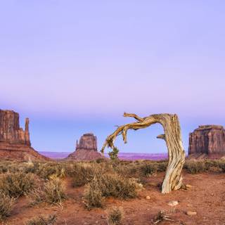 Arizona desert 4k wallpaper