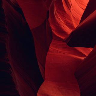 Arizona phone wallpaper