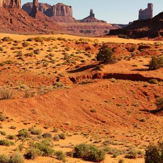 Arizona desert 4k wallpaper